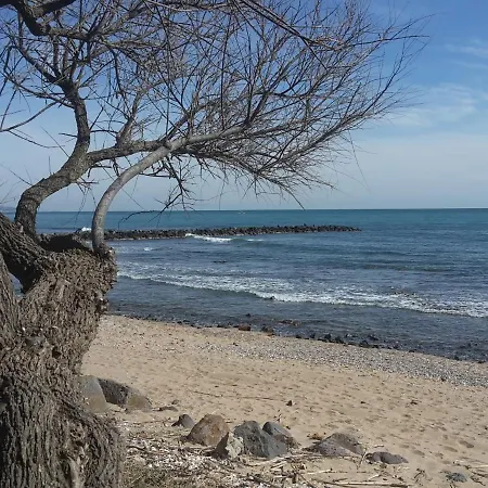 Vue A La Du Mole - Fibre Wifi Agde