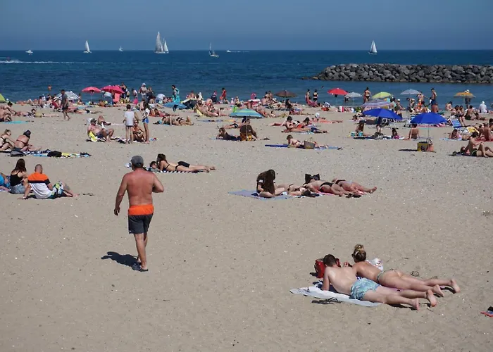 Vue A La Du Mole - Clim - Fibre Wifi Apartment Agde