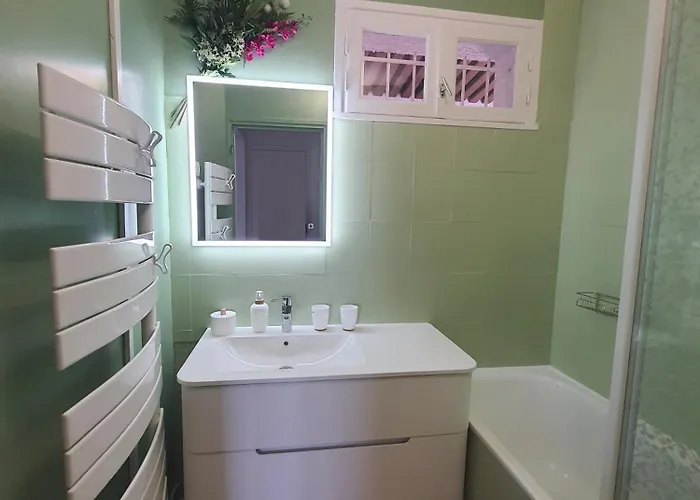 Vue A La Du Mole - Clim - Fibre Wifi דירה אגדה