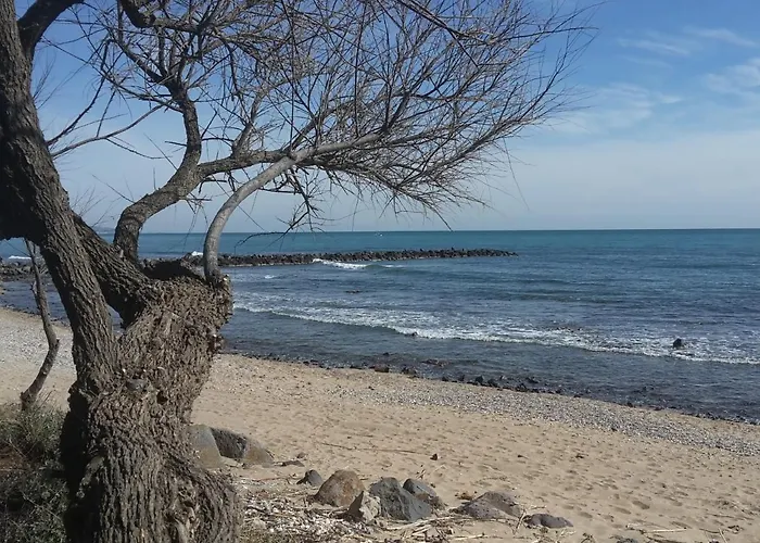 Vue A La Du Mole - Clim - Fibre Wifi Agde